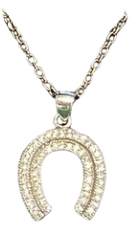 Horseshoe Pendant and Chain with CZ