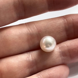 South sea pearl